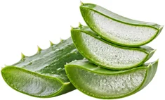 {{OFFER_NAME}} — aloe vera
