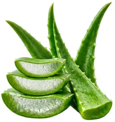 {{OFFER_NAME}} — aloe vera