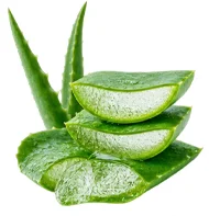 {{OFFER_NAME}} — aloe vera